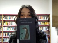 I miei stupidi intenti - Narrativa