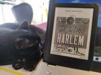 Il ritmo di Harlem - Narrativa