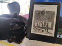 Il ritmo di Harlem - Narrativa