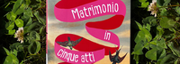 Matrimonio in cinque atti - Narrativa