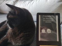 Una campanella silenziosa - Narrativa