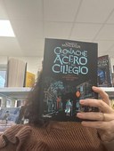 Le cronache dell’acero e del ciliegio. La maschera del Nō. Libro 1 - Ragazzə